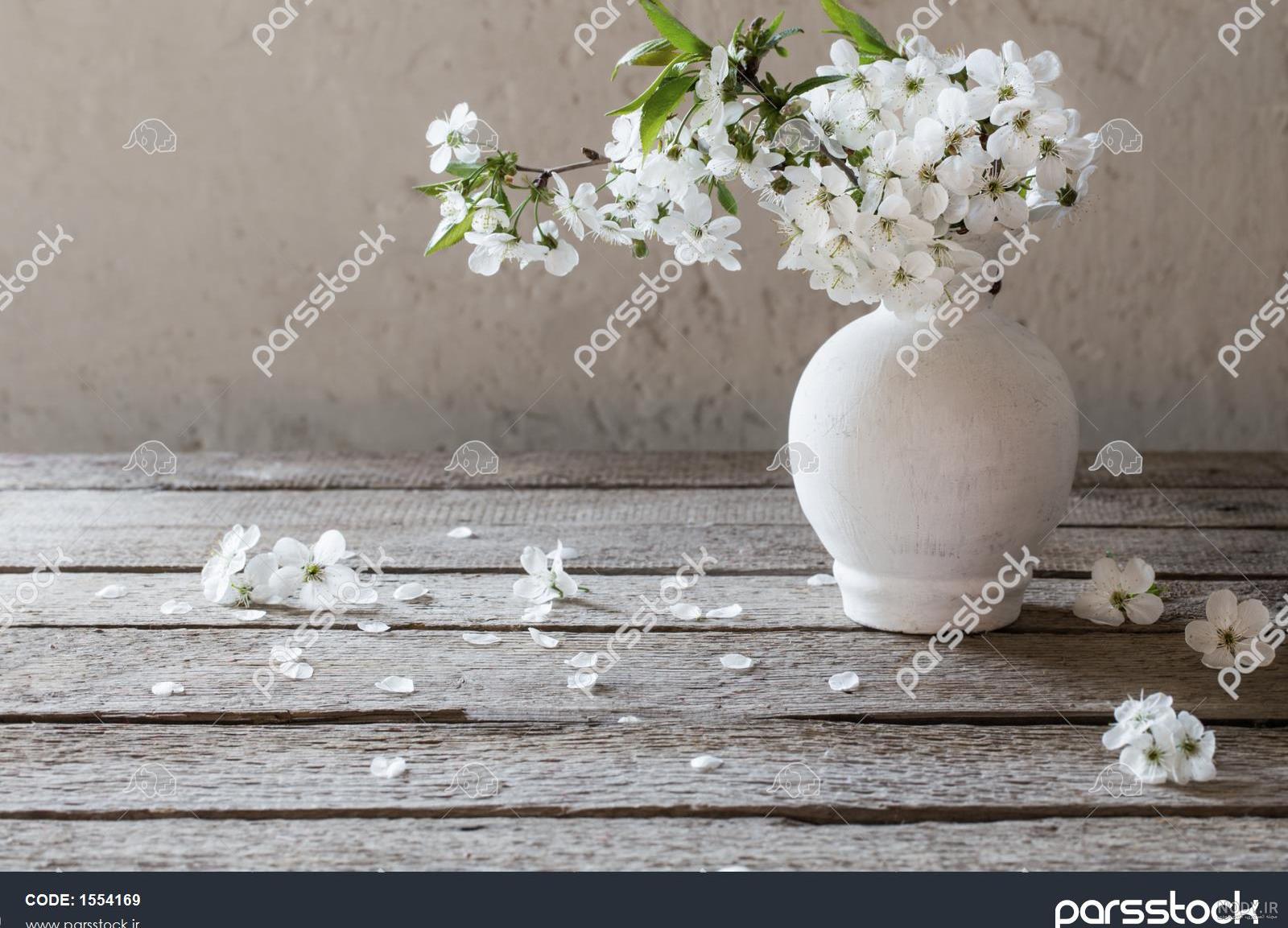 عکس png شکوفه های بهاری با کیفیت بالا | گیاهان | فایل آوران عکس png شکوفه های بهاری با کیفیت بالا | گیاهان | فایل آوران