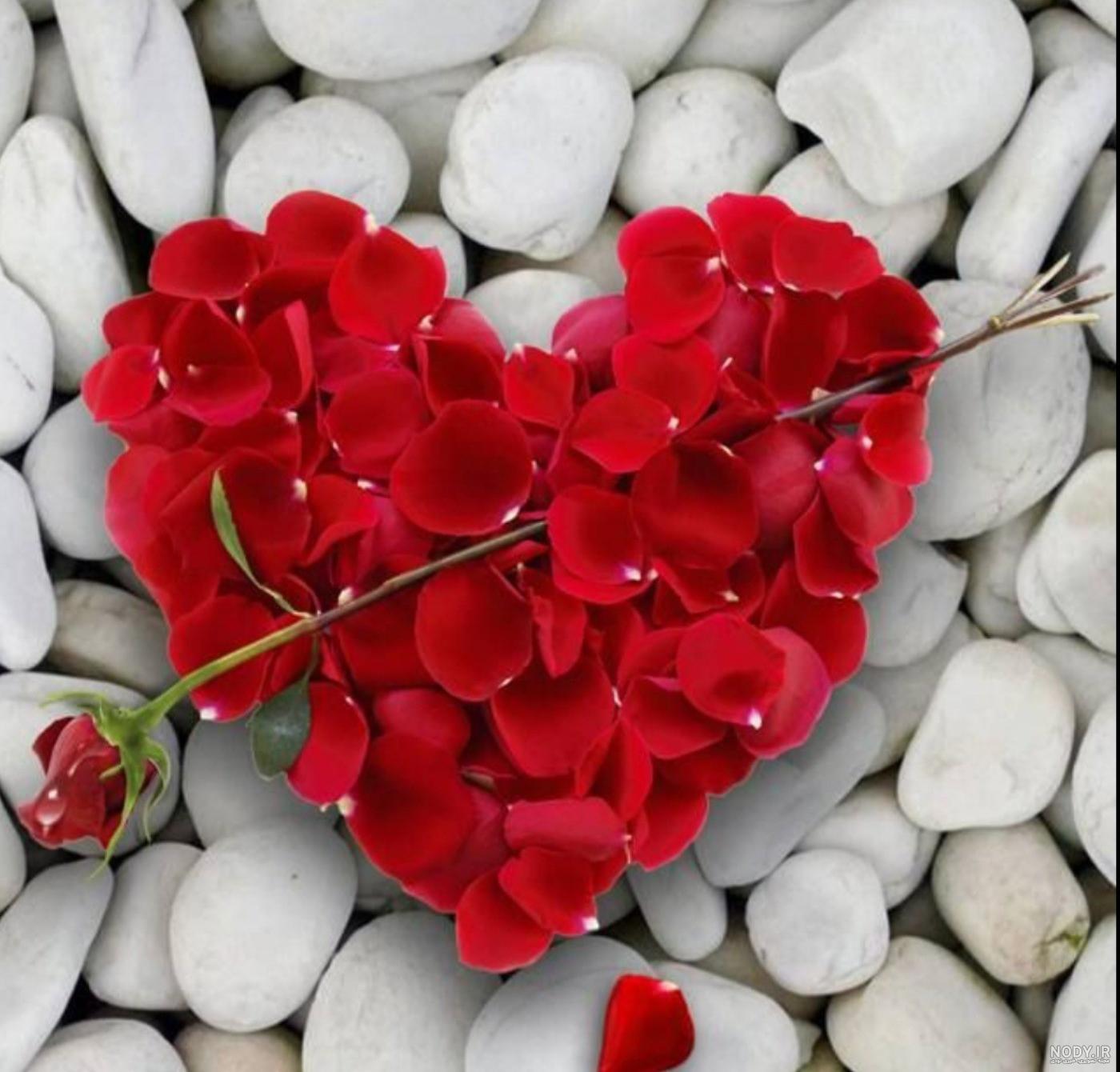 عکس عاشقانه گل و قلب - عکس نودی