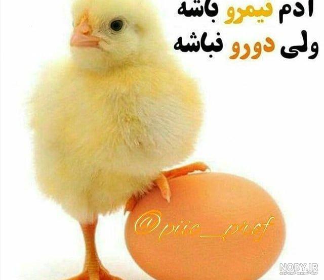 عکس پروفایل آدم دورو - عکس نودی