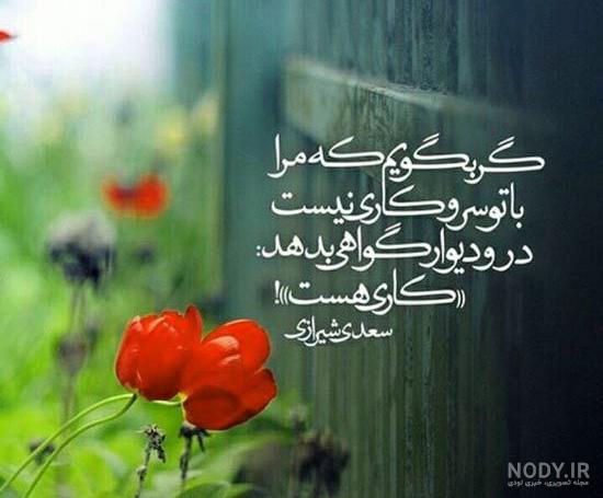 عکس پروفایل اشعار حافظ ؛ زیباترین بیت‌های حافظ - ستاره