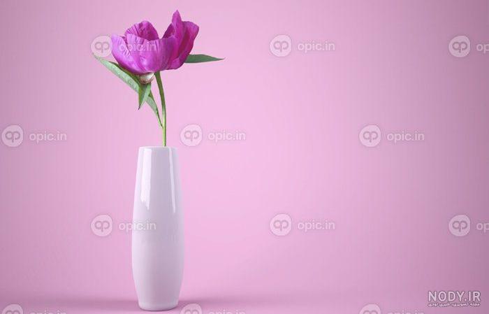 عکس پروفایل گل زیبا 🌸 | پیکوپیکس عکس پروفایل گل زیبا 🌸 | پیکوپیکس