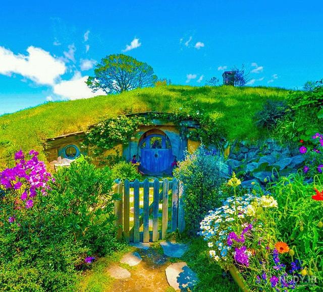 عکس پروفایل گل زیبا 🌸 | پیکوپیکس