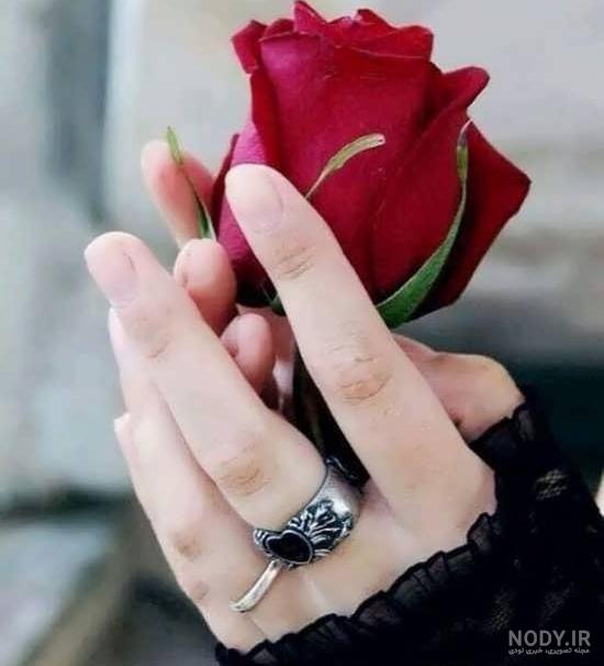 عکس پروفایل گل زیبا 🌸 | پیکوپیکس