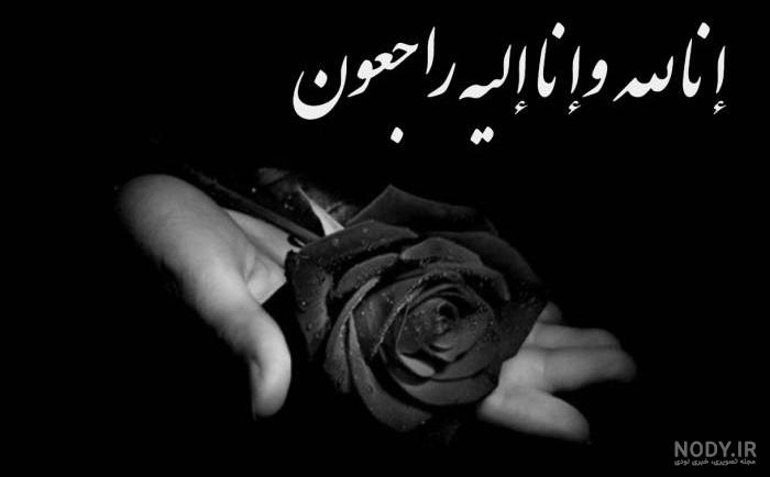 عکس پروفایل گل مشکی پرپر شده