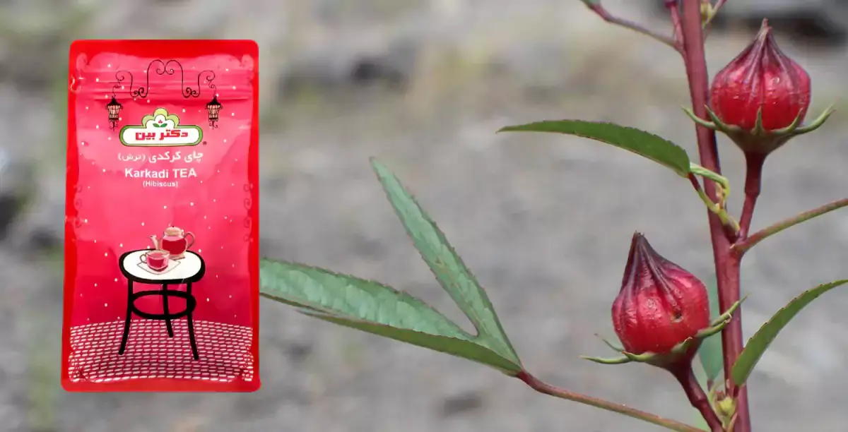 عکس چای و گل عکس چای و گل