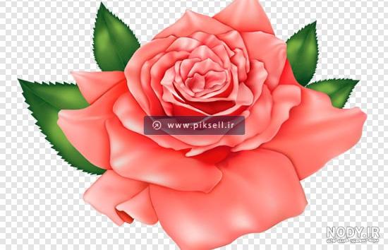 عکس گرافیکی و لایه باز یک شاخه گل رز قرمز زیبا | بُرچین – تصاویر دوربری شده، فایل های آماده، عکس png رایگان، دانلود psd رایگان عکس گرافیکی و لایه باز یک شاخه گل رز قرمز زیبا | بُرچین – تصاویر دوربری شده، فایل های آماده، عکس png رایگان، دانلود psd رایگان