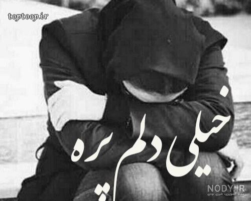عکس های گریه / بهترین تصاویر گریه [پیشنهادی] | تاوعکس