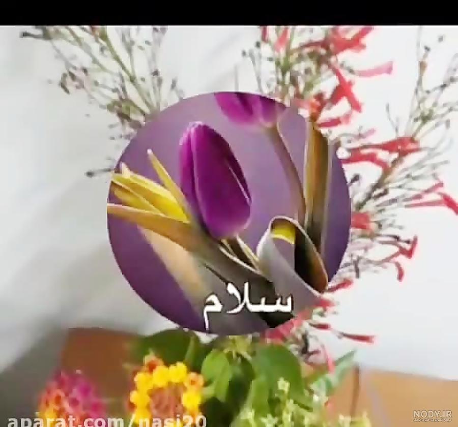 عکس گل با صبح بخیر