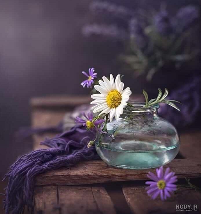 عکس گل بنفش عکس گل بنفش