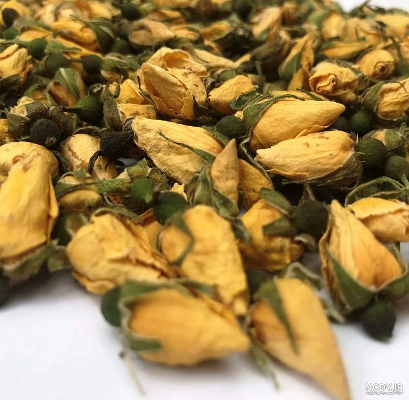 عکس گل بنفش عمودی