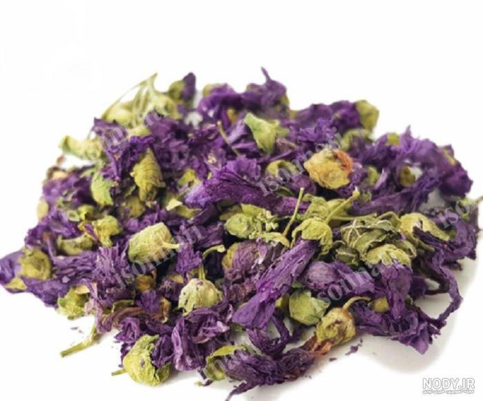عکس گل ختمی خشک شده عکس گل ختمی خشک شده