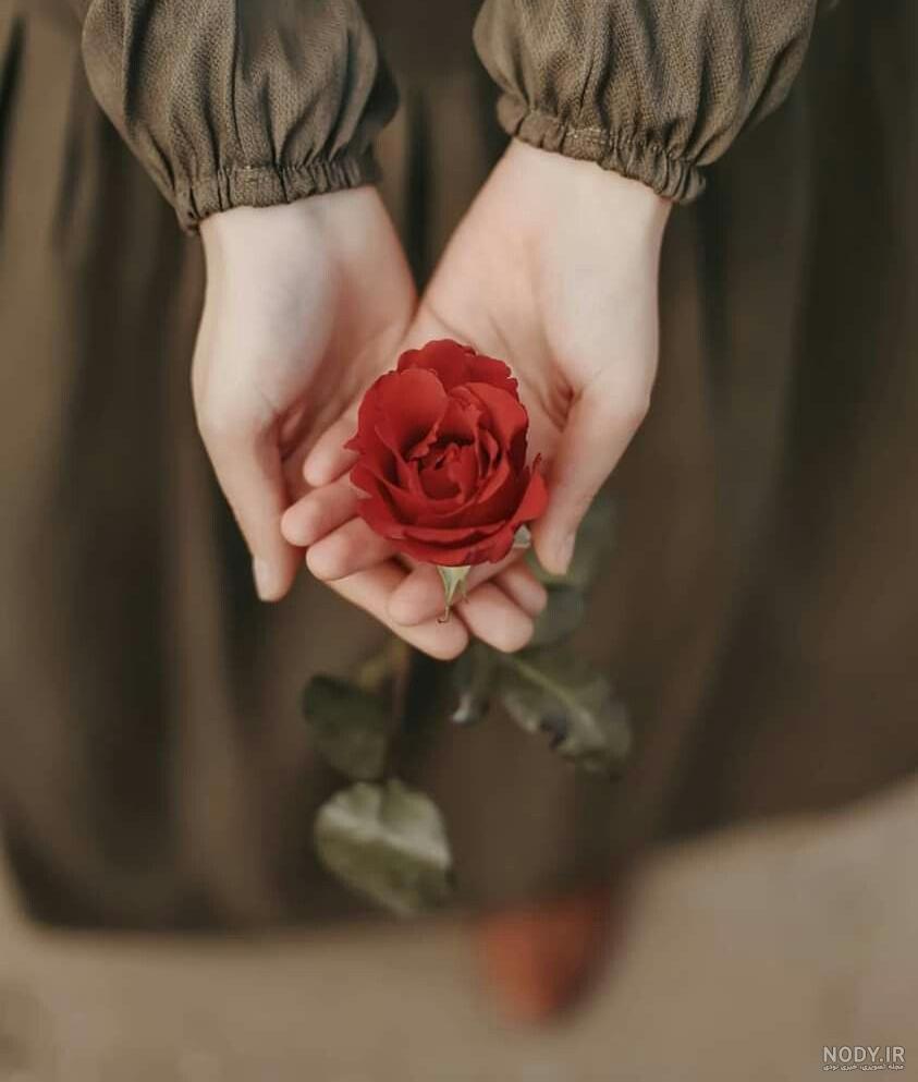 عکس گل دختر - عکس نودی