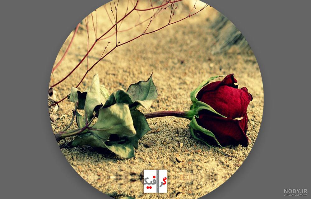 عکس گل دخترونه برای پروفایل شاد