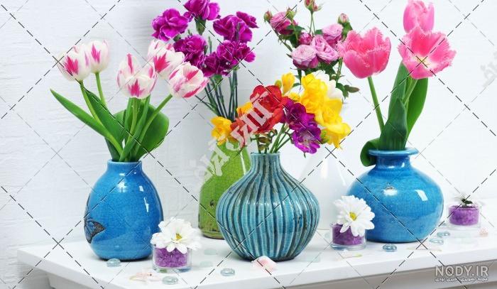 عکس گل رز آبی؛ ۳۳ عکس جذاب و زیبا برای پروفایل - ستاره