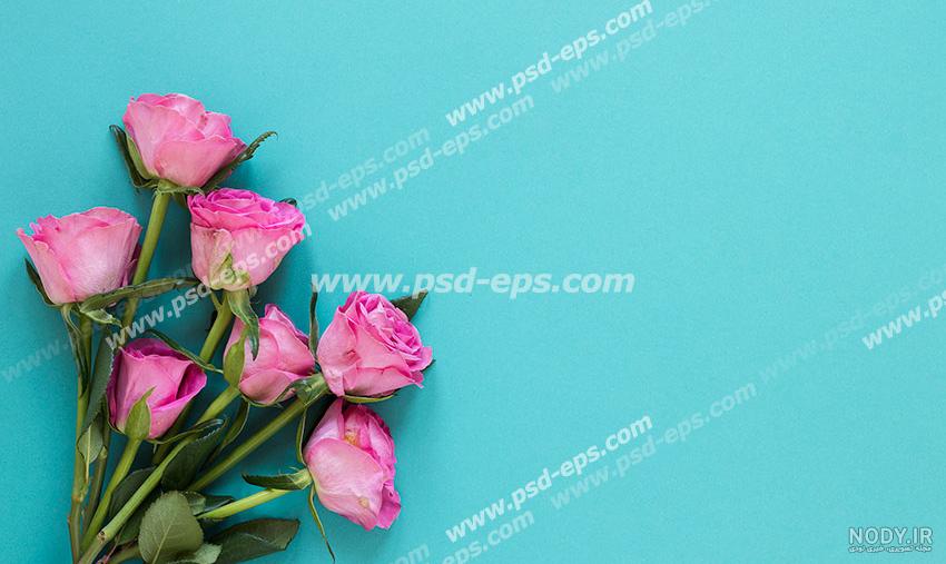 عکس گل رز آبی؛ ۳۳ عکس جذاب و زیبا برای پروفایل - ستاره