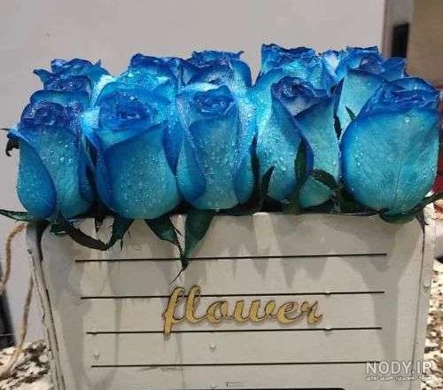 عکس 8k گل رز فیروزه ای