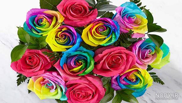 عکس 8k گل رز فیروزه ای