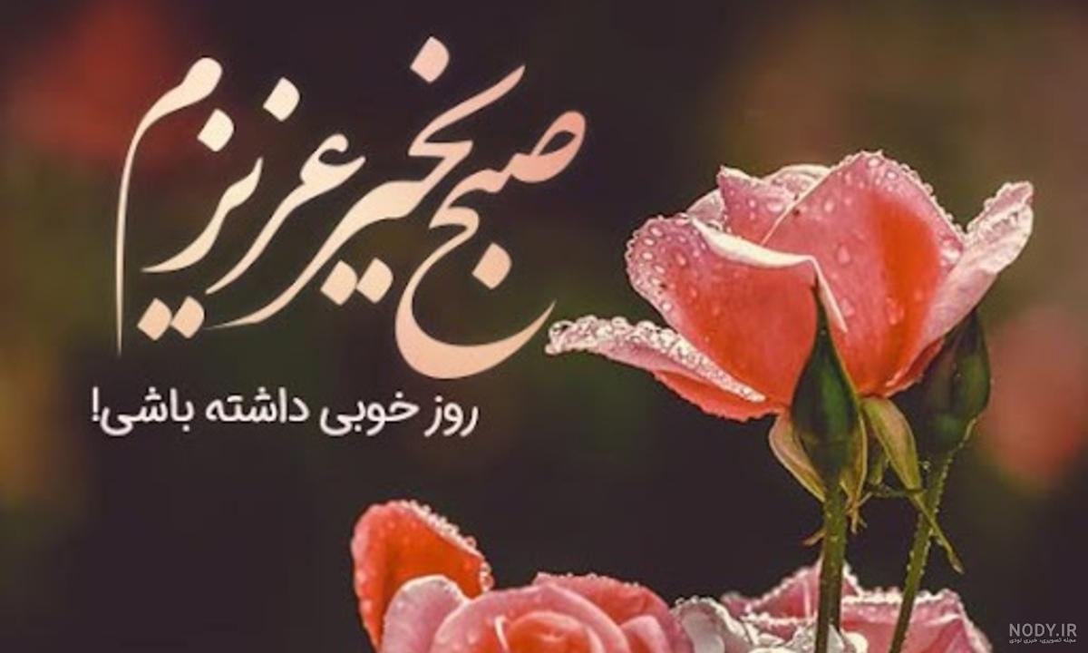 عکس گل سلام صبح بخیر