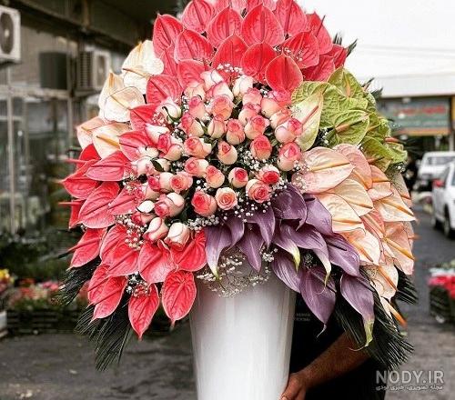 عکس گل طبیعی در خانه و گلدان برای پروفایل واتساپ - تــــــــوپ تـــــــــاپ عکس گل طبیعی در خانه و گلدان برای پروفایل واتساپ - تــــــــوپ تـــــــــاپ