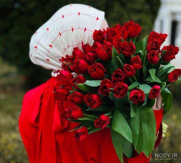 عکس گل 1403 | عکس گل بسیار زیبا برای پروفایل شاد | عکس گل برای پروفایل