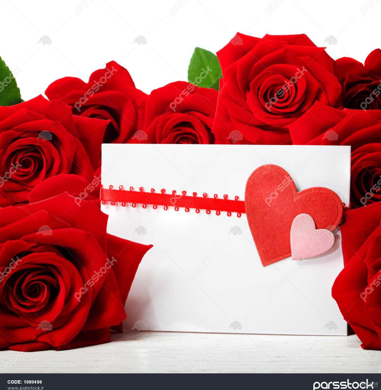 عکس گل قلب زیبا