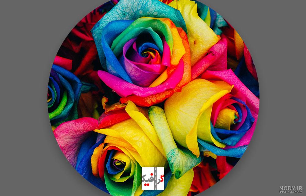 عکس گل و پروانه برای پروفایل اینستاگرام عکس گل و پروانه برای پروفایل اینستاگرام