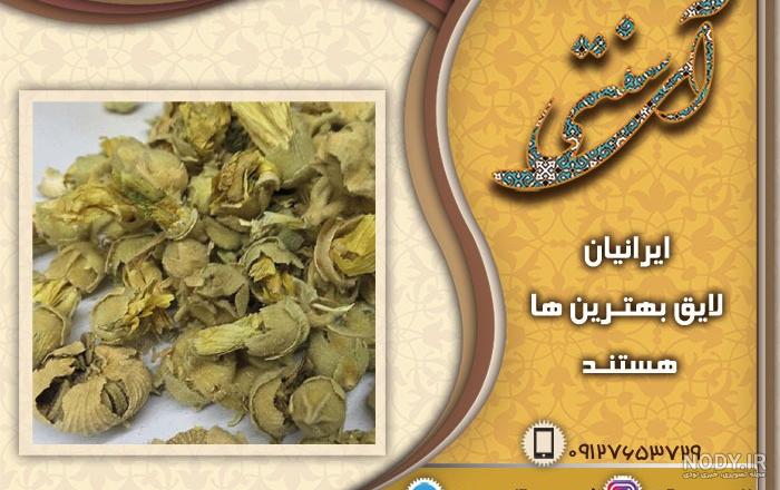 عکس گیاه خشک شده گل ختمی عکس گیاه خشک شده گل ختمی