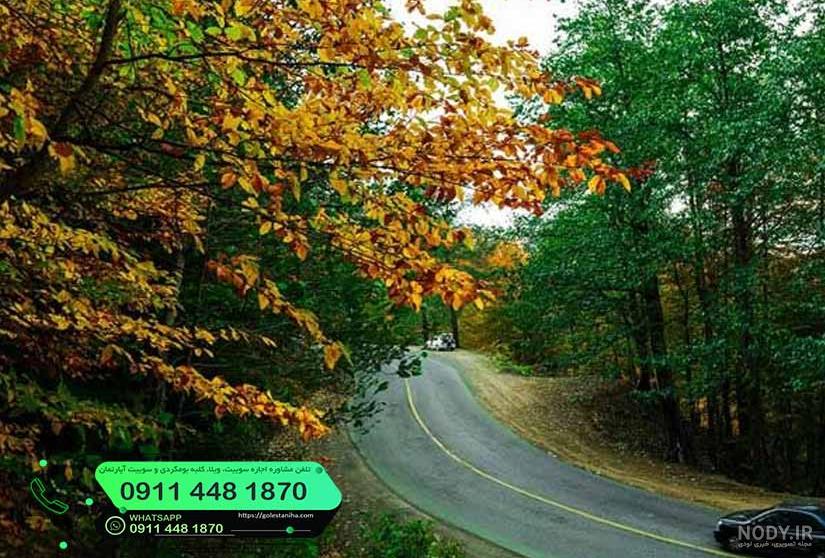 قدم در جاده های رویایی (+تصاویر) قدم در جاده های رویایی (+تصاویر)