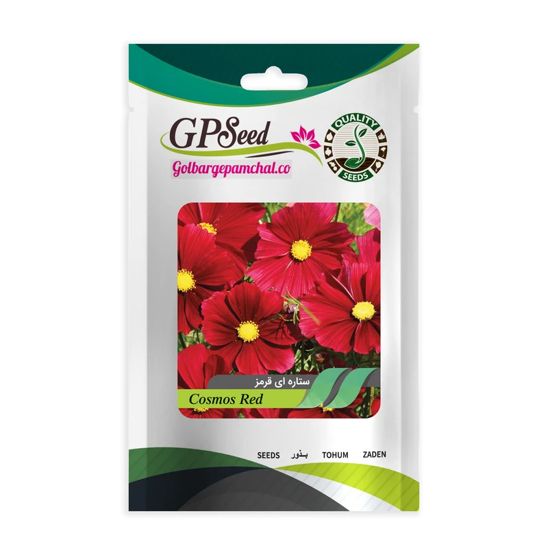 قیمت و خرید بذر گل ختمی پابلند پرپر الوان گلدانی گلبرگ پامچال کد GPF-047