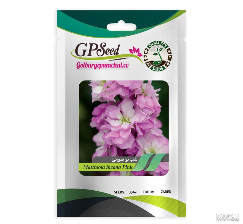 قیمت و خرید بذر گل شب بو الوان گلبرگ پامچال کد GPF-302