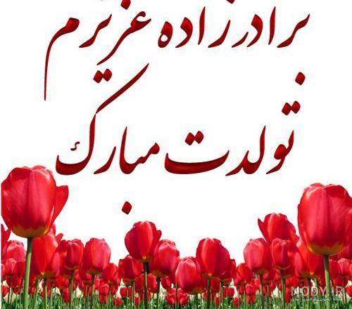 متن های کوتاه و خاص و صمیمی برای تبریک تولد عمه - کارت پستال دیجیتال متن های کوتاه و خاص و صمیمی برای تبریک تولد عمه - کارت پستال دیجیتال