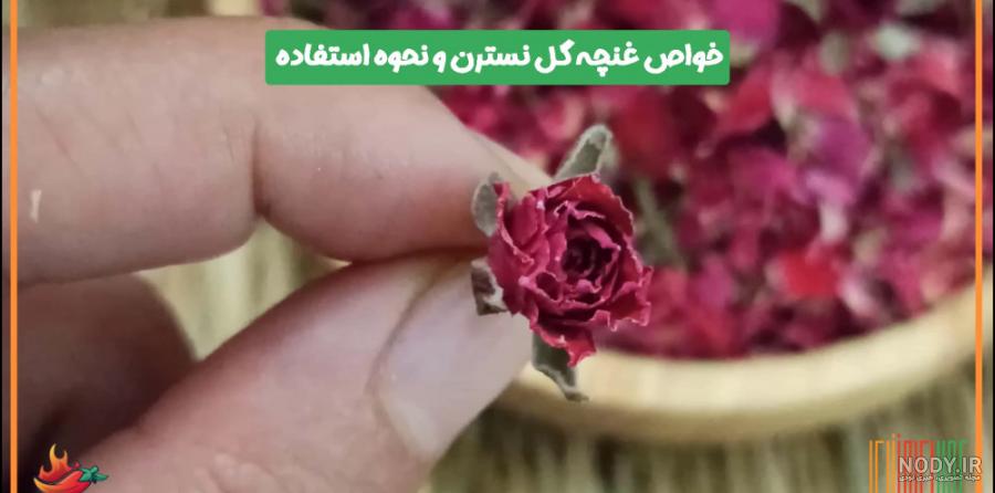 مشخصات و ارزان ترین قیمت گل مصنوعی مدل بوته نسترن کد 35 - ام ام سون کالا
