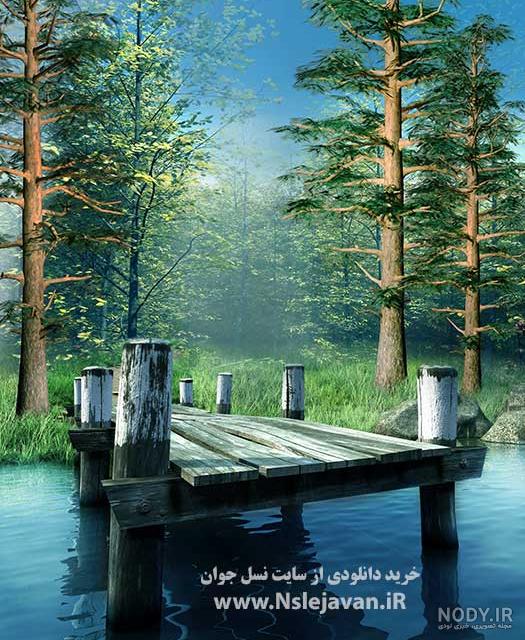پارک جنگلی گیسوم تونلی جنگلی منتهی به دریا
