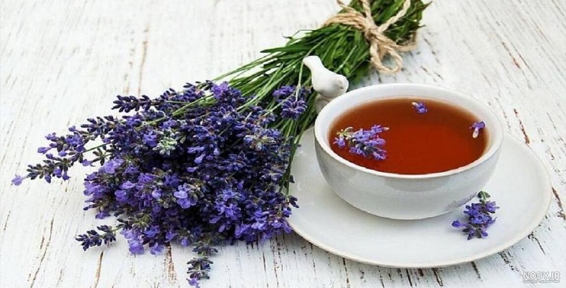 پروفسور جواد گل چای « متخصص پوست و مو » شالکوه، رشت - نقشه نشان پروفسور جواد گل چای « متخصص پوست و مو » شالکوه، رشت - نقشه نشان
