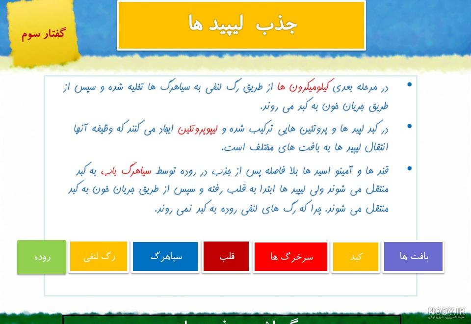 گروه آموزشی Luiz | کنکور 1401 نکات کامل غدد لنفی - زیست شناسی