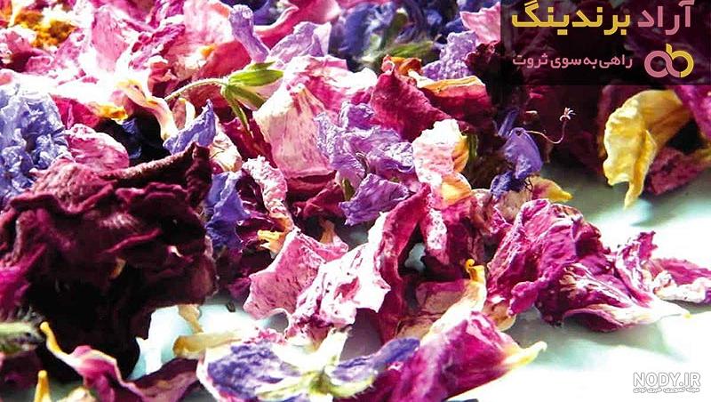 گل ختمی و خواص آن | گل‌ختمی برای چه دردری دواست؟