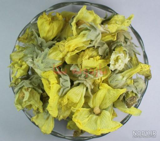 گل ختمی، خواص گل ختمی برای مو، فواید و مضرات گل ختمی برای پوست | پذیرش۲۴ گل ختمی، خواص گل ختمی برای مو، فواید و مضرات گل ختمی برای پوست | پذیرش۲۴