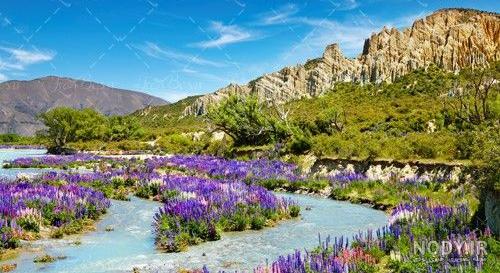 گل نسترن بنفش |ضد آب|فرانسوی |20 هزار تومان -گلفروشی گل کالا