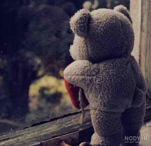 عکس خفن عکس پروفایل خرس غمگین