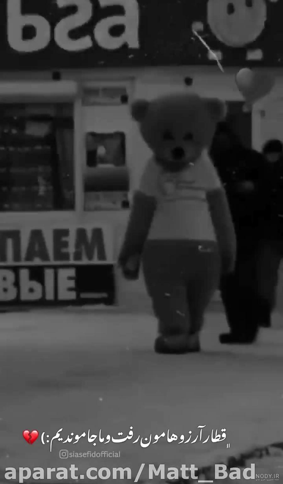 عکس خرس عروسکی برای پروفایل