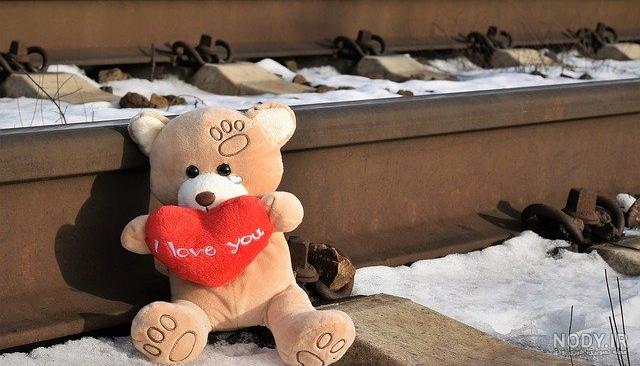 عکس خرس عروسکی