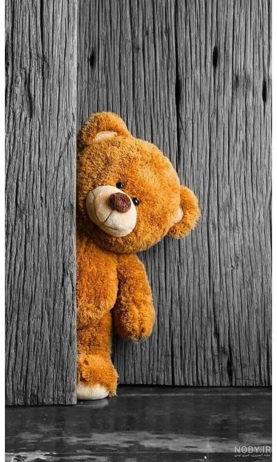 عکس خرس عروسکی برای پروفایل
