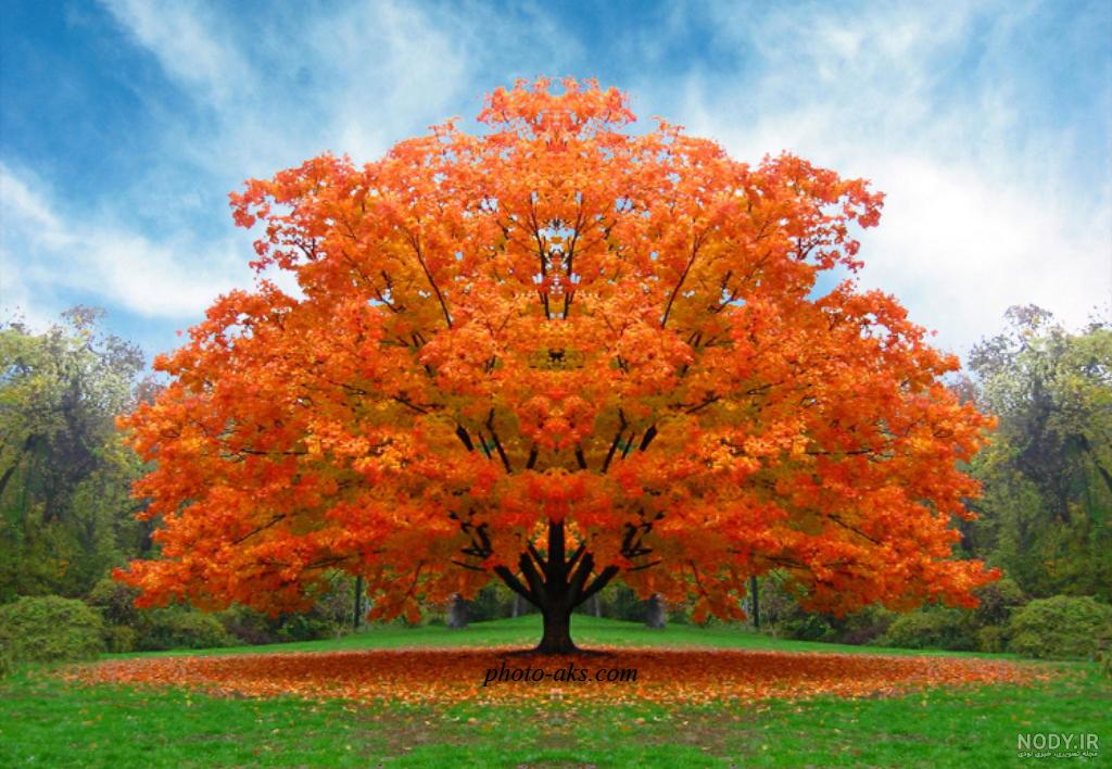 10 عکس منظره و طبیعت برای تابلو دکوراتیو