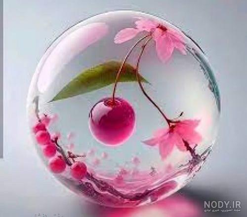 100 عکس گل های زیبا و قشنگ برای پروفایل | عکس پروفایل گل رز 100 عکس گل های زیبا و قشنگ برای پروفایل | عکس پروفایل گل رز