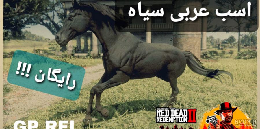 اسب عرب نژاد محبوب را بهتر بشناسید اسب عرب نژاد محبوب را بهتر بشناسید