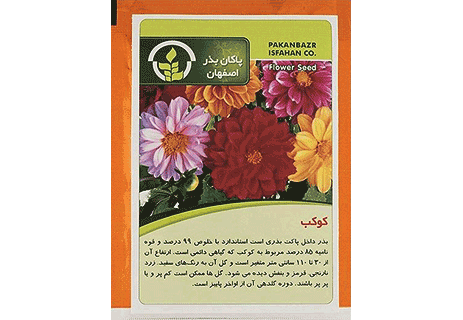 بذر گل کوکب کوهی پابلند (ردبکیا) گل درشت | فروشگاه بذر، نهال و لوازم  کشاورزی | گلس گاردن