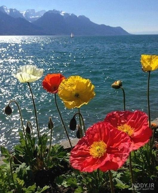 بهترین مناظری که می‌توانید در دنیا ببینید (۲)