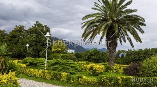 تصاویر زیبا از طبیعت شمال تصاویر زیبا از طبیعت شمال