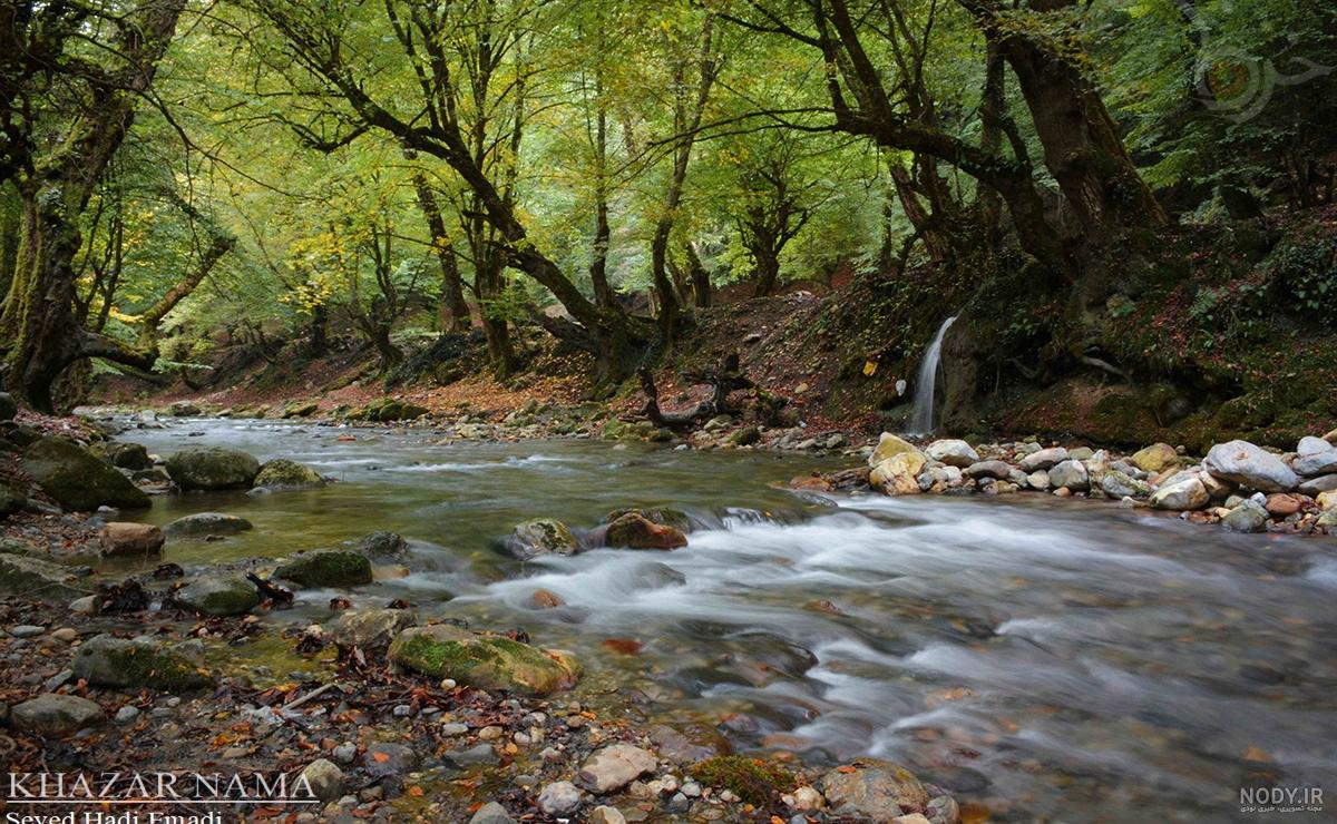 تصاویر| طبیعت بهاری روستا‌های اطراف ساری