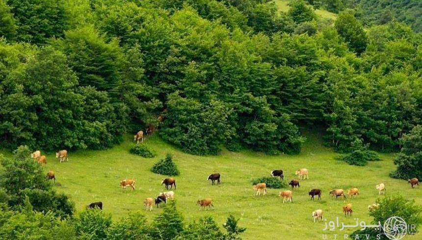 جاهای دیدنی تبریز؛ مقصدی رویایی برای سفر تابستانی - ایمنا